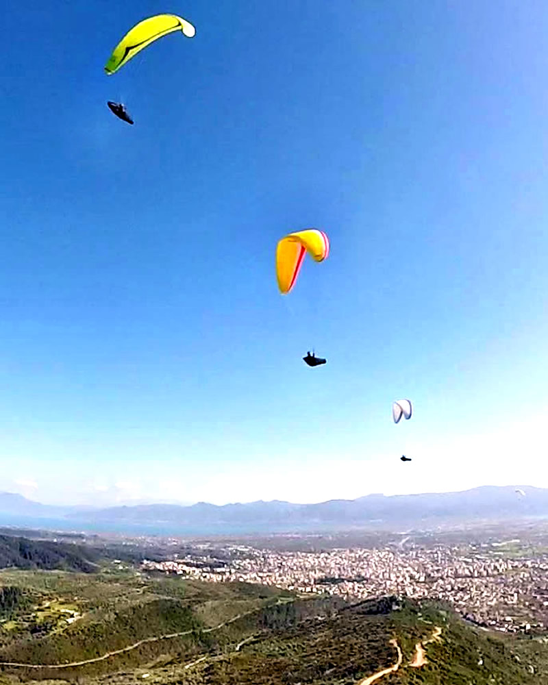 ΑΛΕΞΙΠΤΩΤΙΣΜΟΣ ΠΛΑΓΙΑΣ